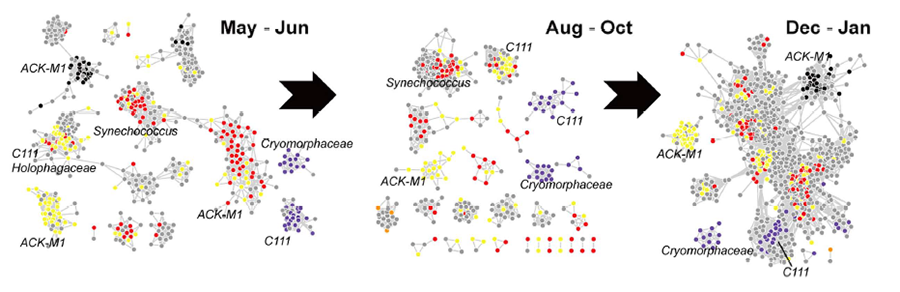 數(shù)據(jù)挖掘：微生物與微生物之間的關(guān)聯(lián)網(wǎng)絡(luò)分析及核心模塊的變化趨勢.png