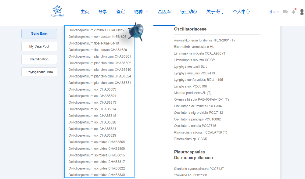 Algae-Hub與《湖泊科學(xué)》合作——探索藻類(lèi)大數(shù)據(jù)共享平臺(tái)